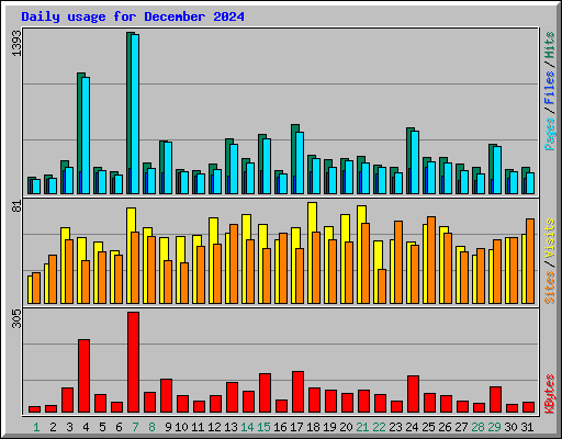 Daily usage for December 2024
