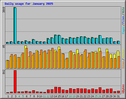 Daily usage for January 2025