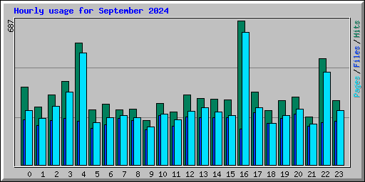 Hourly usage for September 2024
