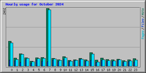 Hourly usage for October 2024