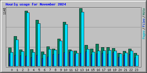 Hourly usage for November 2024