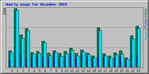 Hourly usage for December 2024