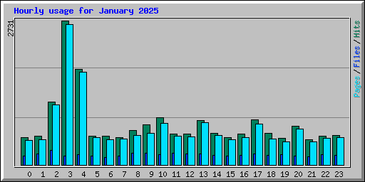 Hourly usage for January 2025