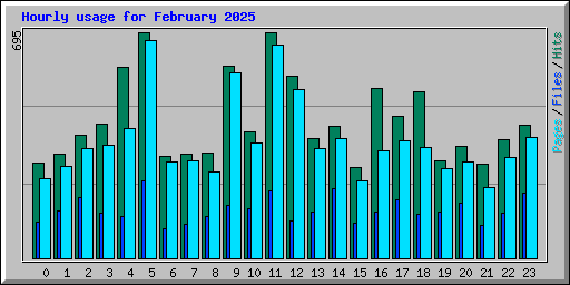 Hourly usage for February 2025