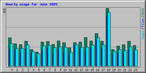 Hourly usage for June 2025